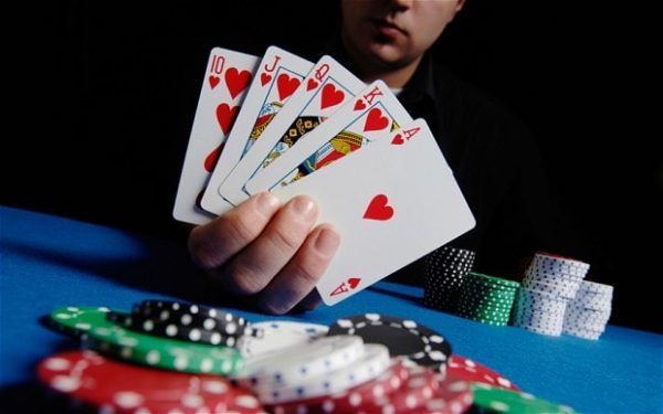Bingo Frenzy کیسینو میں بکراٹکھیلیں